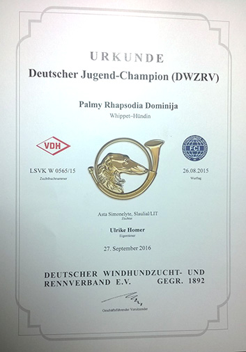 Conny German Junior Champion